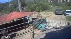 Собака защитила хозяина от сотрудника ТЦК, который пытался его мобилизовать.