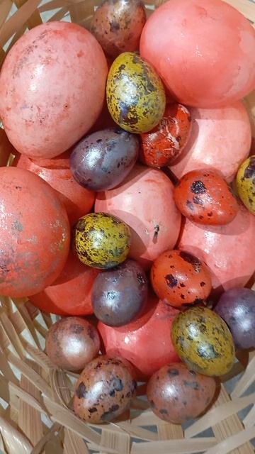 Покрасили яйца... смотреть онлайн