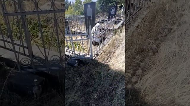 Ратевнис дзвели царсули смотреть онлайн