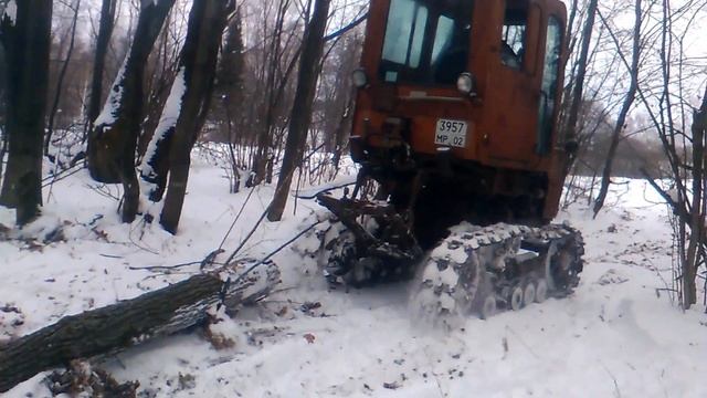 Т70 вывозит лес. смотреть онлайн