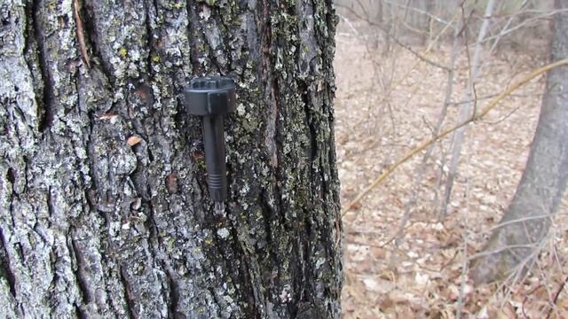 Maple Sap Dripping from the Tap смотреть онлайн
