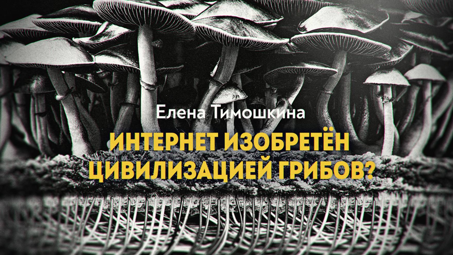 Кто управляет иммунитетом Земли смотреть онлайн
