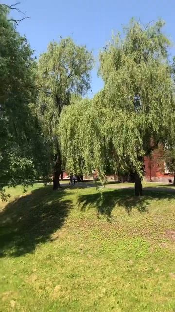 Ворота Брестской крепости смотреть онлайн