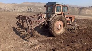 Трактор Т 40 с культуватором в поле | Tractor T 40 with cultivator in the field