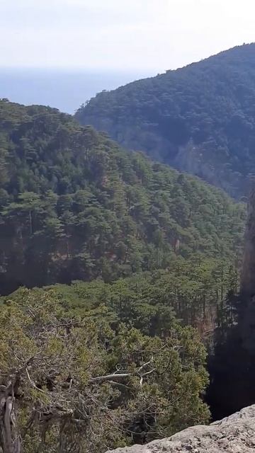Крым, ущелье😍. Над обрывом смотреть онлайн