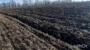 Дисковка новой бороной БДФ-2.1 трактором МТЗ-82 👍👍👍👍