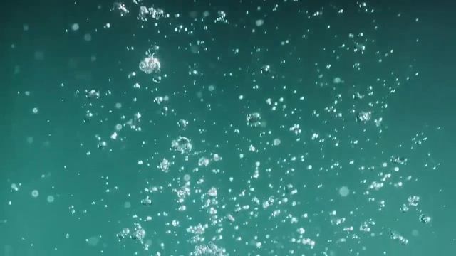 hansgrohe Vivenis смотреть онлайн