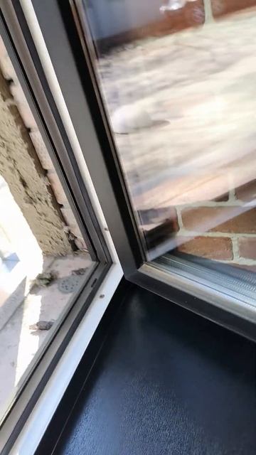 Окно Gealan 9000 в цвете Муар Чёрный с ручкой Фрэш. Ультра-Тёплый вариант. смотреть онлайн