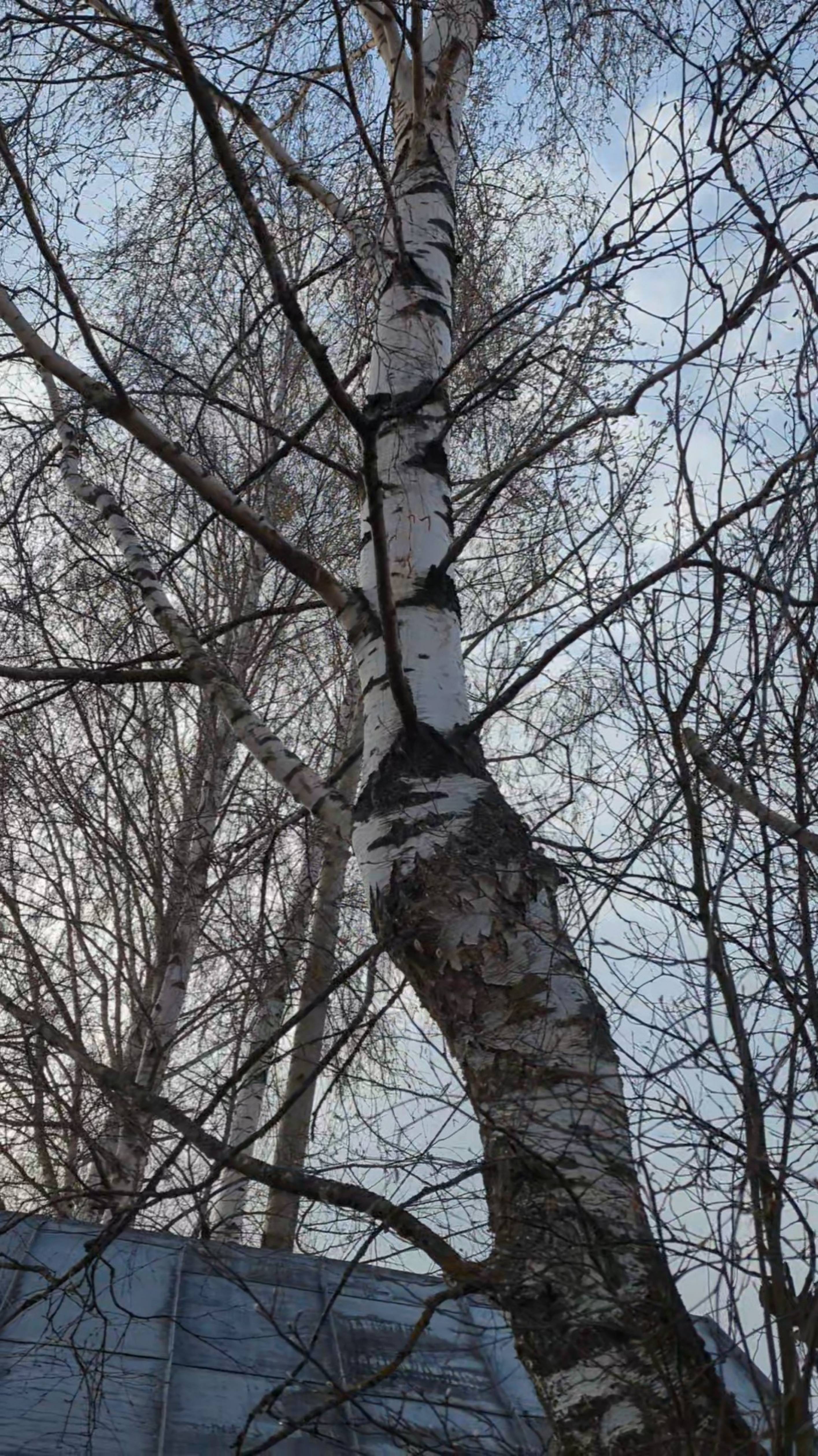 Грибной сезон