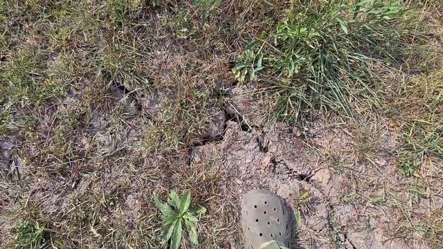 Засуха, земля трещит, Краснодарский край.