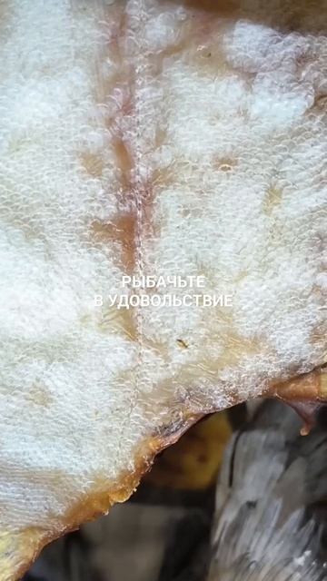 Заказывайте Вяленого ерша под пенное.