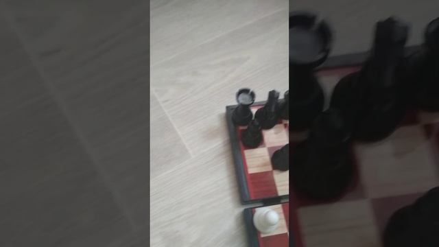 как играть в шахматы полный обзор #одиндома #шахматы #какиграть #пешкивперет#игра смотреть онлайн