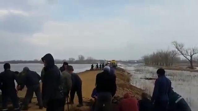 Жители поселка Сарытобе разрыли дорогу