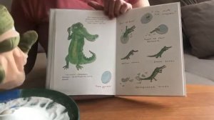 М. Москвина "Что случилось с крокодилом"