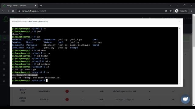 Terminal Basics - rm file смотреть онлайн