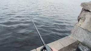 SHIMANO HARD ROCKER BB обзор