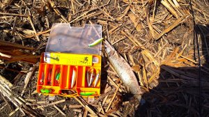 Клевало не сходя с места. Дружеская рыбалка по щуке.