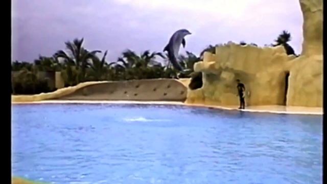 ПаркиТенерифе Jungle&Loro, 1995 ч 3 смотреть онлайн