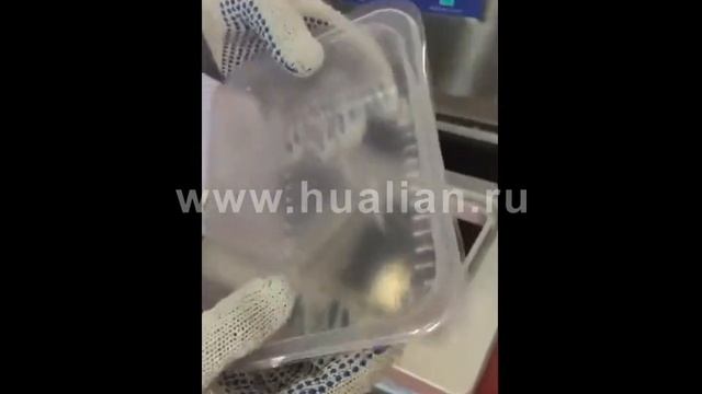 Запайщик лотков HL 95A на два лотка смотреть онлайн
