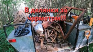 В лес за литыми плюшками.Металлокоп на каракате.