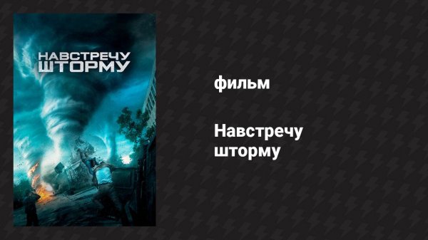 Навстречу шторму (фильм, 2014)