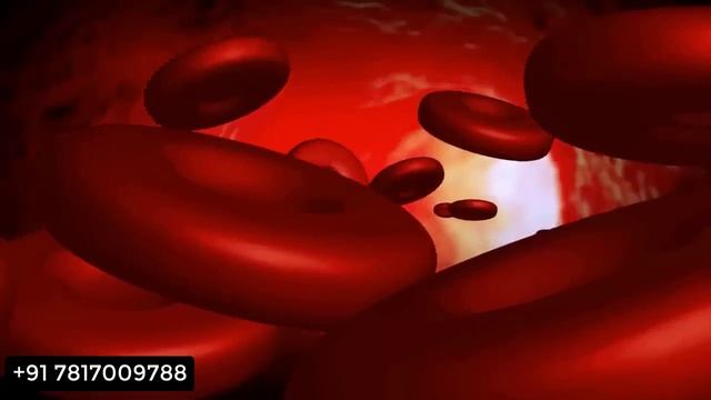 1 चममच और समभग कर पर रत  HE FORCE POWDER BENEFIT