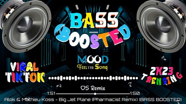 Alok & Mathieu Koss - Big Jet Plane (Pharmacist Remix) (BASS BOOSTED) смотреть онлайн