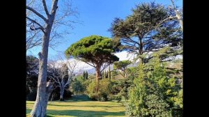 КРЫМСКАЯ СКАЗКА. РУССКИЕ ГУСЛИ И ФЛЕЙТА. ПОТРЯСАЮЩИЕ ПЕЙЗАЖИ ВОРОНЦОВСКОГО ПАРКА.