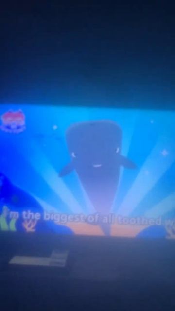 Sperm whale eats ganit squid(JT) смотреть онлайн