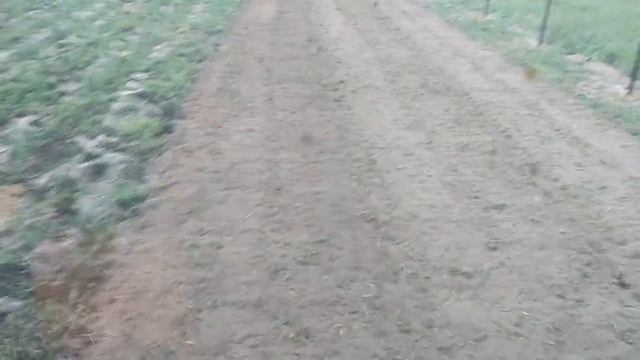 Работа почвофрезой 140 см смотреть онлайн