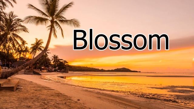Blossom - SOMM Free Copyright-safe Music смотреть онлайн