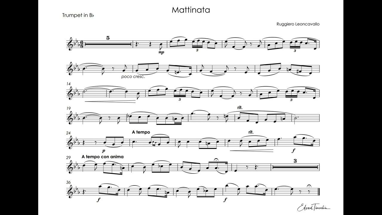 Leoncavallo, Ruggero - Mattinata - Sergei Nakaryakov trumpet Bb смотреть онлайн