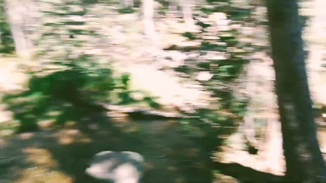 the backpack excursion film смотреть онлайн