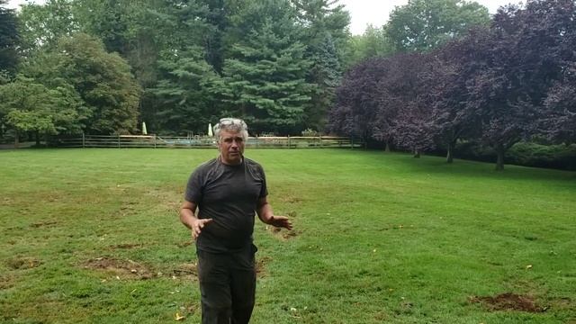 barberchair debriefed смотреть онлайн