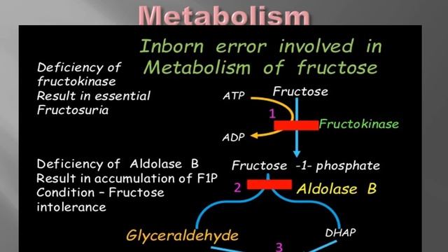 9. Monosaccharides & Disaccharides Metabolism смотреть онлайн
