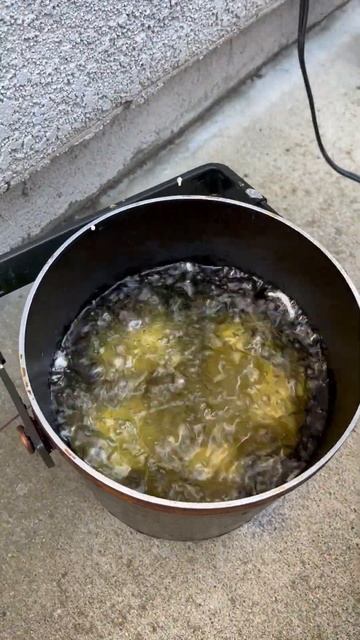 How to Cook Sturgeon! #Shorts #Fish #CookingFish смотреть онлайн