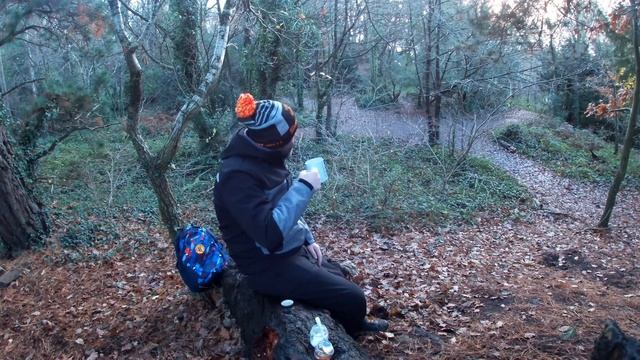 COFFEE IN THE WOODS / BODLONDEB / CONWY / NORTH WALES смотреть онлайн