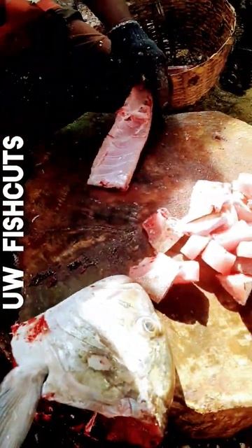 CHEETAH  DURAI || 10KG MASSIVE PAARAI MEEN || CUTTING VIDEO || KASIMEDU