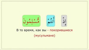 _038-4 (إذ أنتم مسلمون)