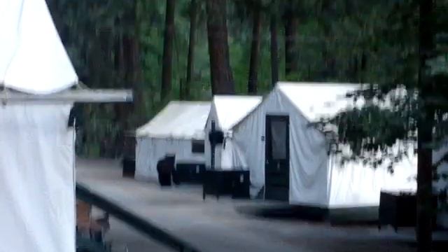 Bear Curry Village Yosemite Tent # 33 (Larry Bird) смотреть онлайн