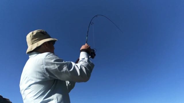 Трофейная щука смотреть онлайн