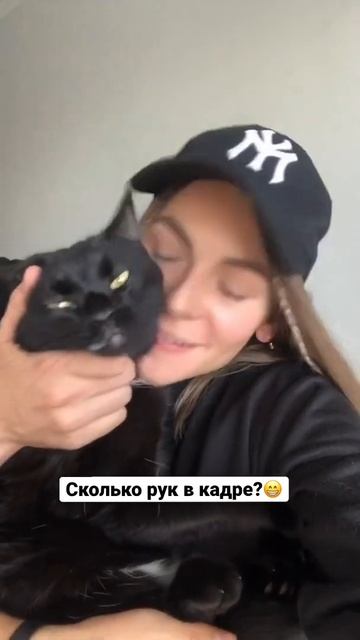 Люди не любят животных