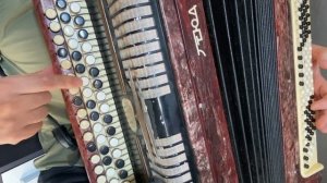 РАЗБОР на баяне "Левый берег Дона" Михаил Шуфутинский