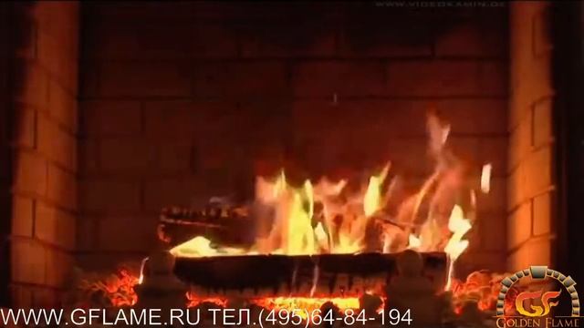 КАМИННАЯ ТОПКА SCHMID PANO 55/45 H смотреть онлайн