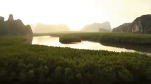 Красивый саксофон для души и сердца.