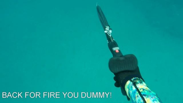 How To Screw Up FreeDiving