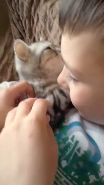 Её хоть и затискали, но у неё очень няшная и шесливая мордашка. 😄😄😄😆😆😆 смотреть онлайн