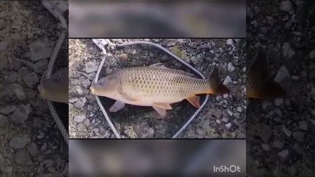 Шалкар рыбалка на донку смотреть онлайн