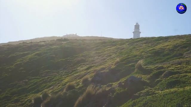 Хочешь переехать, да чтобы тебе ещё за это и заплатили? Тогда обязательно посмотри это видео! смотреть онлайн