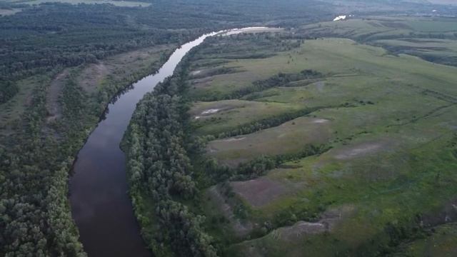 Медведица 2021 смотреть онлайн